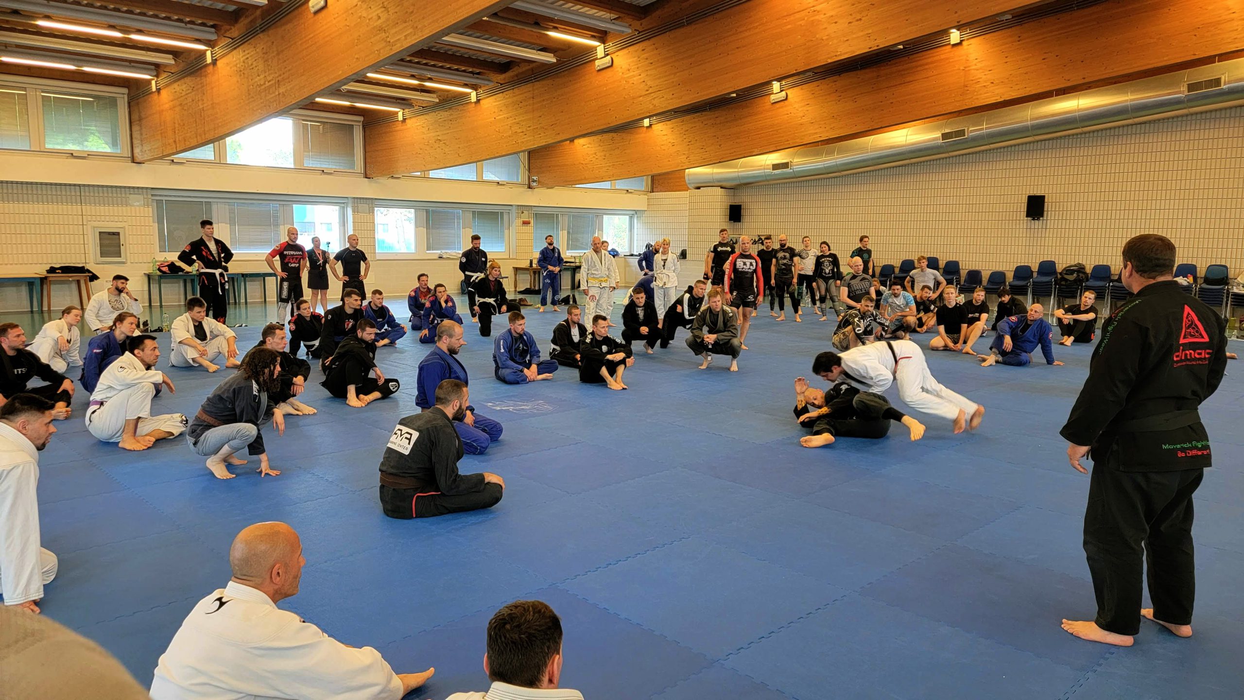 BJJ Intensive Camp training room